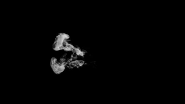 Animated Smoke Typography Σγουρή Γραμματοσειρά Alpha Κανάλι Αυξάνεται Σχηματίζοντας Ένα — Αρχείο Βίντεο