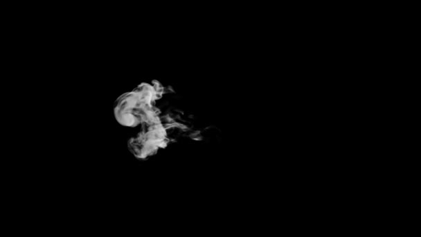 Animated Smoke Typography Curly Font Alpha Channel Rising Forming Letter — 비디오