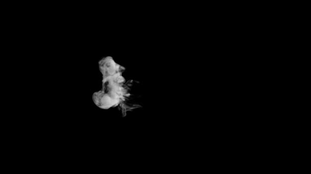 Typographie animée de fumée 3D en police bouclée avec canal alpha se levant formant une lettre et continuant à élever le personnage à 