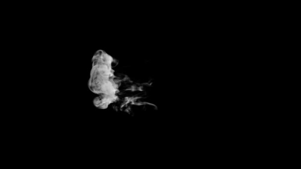 Typographie animée de fumée 3d en police bouclée avec canal alpha se levant formant une lettre et continuant à augmenter le caractère ampersand 