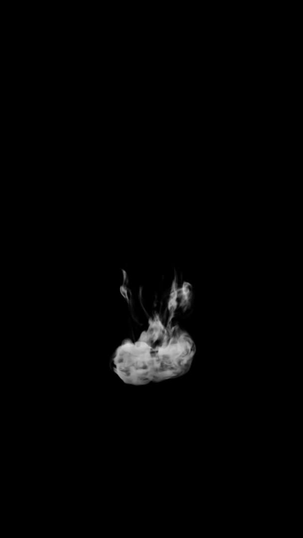 Typografia Animowanego Dymu Kręconą Czcionką Kanałem Alfa Wznoszącym Się Tworząc — Wideo stockowe