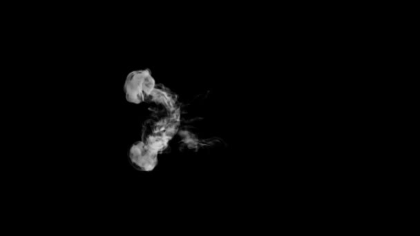 Typographie animée de fumée 3D en police normale avec canal alpha montant formant une lettre et continuant à monter le caractère X 