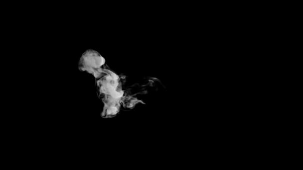Animated Smoke Typography Normal Font Alpha Channel Rising Forming Letter — Stock Video