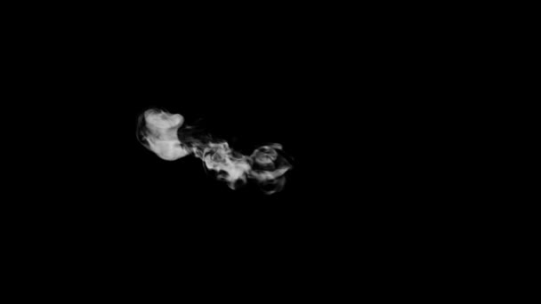 Анимированная Дымовая Типография Обычном Шрифте Альфа Каналом Поднимающимся Вверх Образуя — стоковое видео