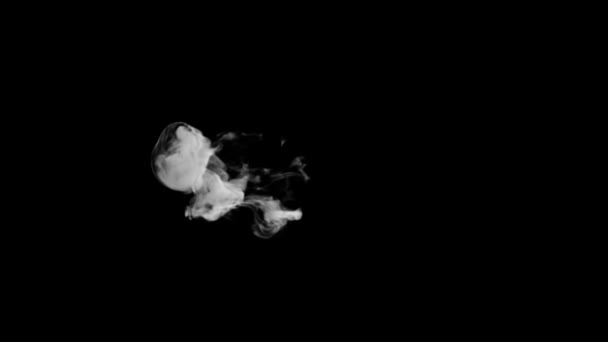 Animated Smoke Typography Normal Font Alpha Channel Rising Forming Letter — 비디오