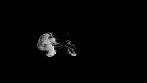 Typografia Animowanego Dymu Normalnej Czcionki Kanałem Alfa Wznoszące Się Tworząc — Wideo stockowe