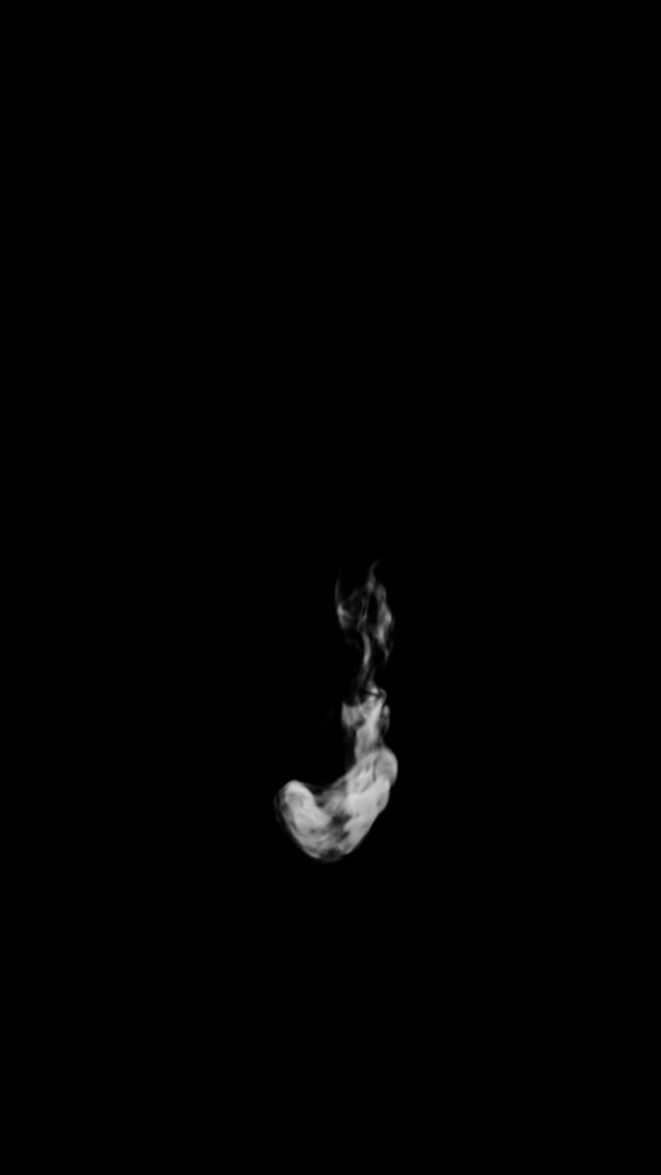Анимированная Дымовая Типография Обычном Шрифте Восходящим Альфа Каналом Образующим Букву — стоковое видео