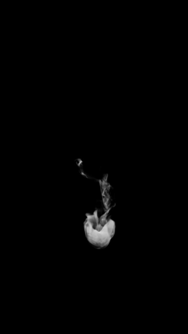 Анимированная Дымовая Типография Обычном Шрифте Альфа Каналом Растущим Букву Продолжающим — стоковое видео