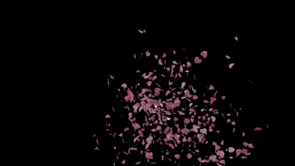Animasi Hati Valentine Confetti Meledak Dalam Bingkai Dari Samping — Stok Video