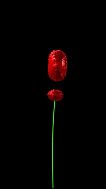 Dinamik dizgi ve alfa ünlem işaretli 3d yüzen balon tipografi metni