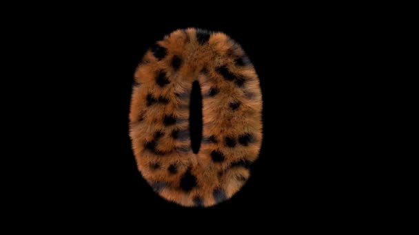 Animovaný Chlupatý Chlupatý Zoo Leopard Text Písmo Alfa Kanálem — Stock video