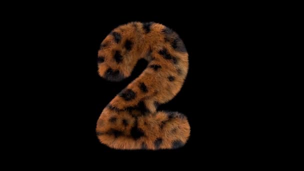 Animovaný Chlupatý Chlupatý Zoo Leopard Text Písmo Alfa Kanál — Stock video