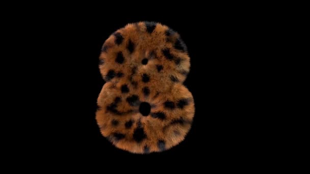 Animerad Hårig Zoo Leopard Text Typsnitt Med Alfa Kanal — Stockvideo