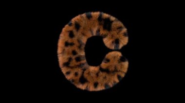 3D animasyon kürklü tüylü leopar yazı tipi alfa kanal C