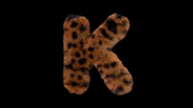 3D animasyon kürklü kıllı leopar yazı tipi alfa kanal K