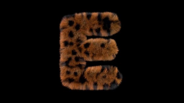 Animato Peloso Peloso Zoo Leopardo Testo Dattiloscritto Con Canale Alfa — Video Stock