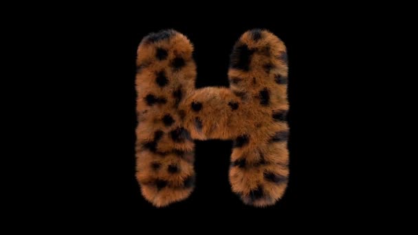 Geanimeerde Harige Dierentuin Luipaard Tekst Lettertype Met Alfa Kanaal — Stockvideo