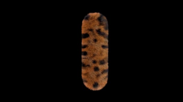 3D动画毛茸茸的动物园豹文字字体 带有Alpha通道I — 图库视频影像