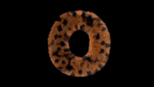 Animated Furry Hairy Zoo Leopard Text Typeface Alpha Channel — Stock Video