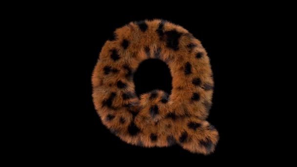 Анімований Пухнастий Волосся Зоопарк Leopard Текстовий Шрифт Альфа Каналом — стокове відео