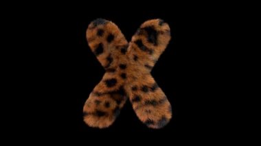 3D animasyon kürklü kıllı leopar yazı tipi alfa kanal X