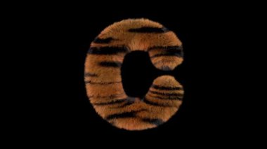 3D animasyon kürklü kıllı kaplan yazı tipi alfa kanal C