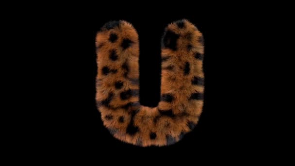 Animated Furry Hairy Zoo Leopard Text Typeface Alpha Channel — 비디오