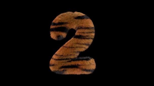 3D动画毛茸茸的动物园老虎文字字体 Alpha通道2 — 图库视频影像