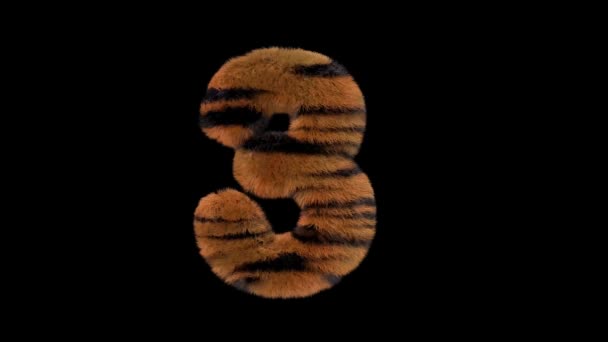 Animato Peloso Peloso Zoo Tigre Testo Dattiloscritto Con Canale Alfa — Video Stock