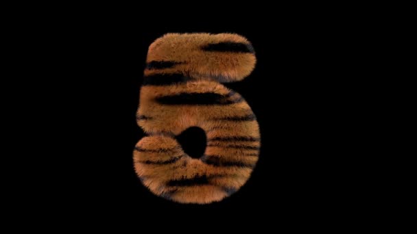 Animovaný Chlupatý Chlupatý Zoo Tygr Text Písmo Alfa Kanál — Stock video