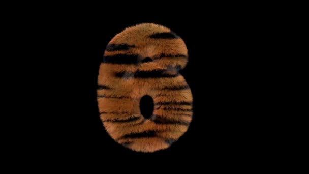 Geanimeerde Harige Dierentuin Tijger Tekst Lettertype Met Alpha Kanaal — Stockvideo