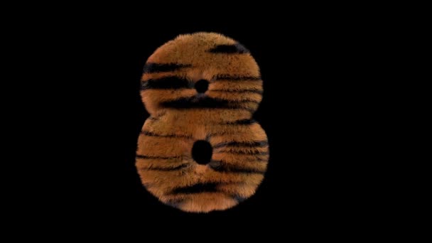 Animated Furry Hairy Zoo Tiger Text Typeface Alpha Channel — Stock Video