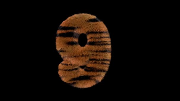 Анімований Пухнастий Волохатий Тигр Зоопарку Текстовий Шрифт Альфа Каналом — стокове відео