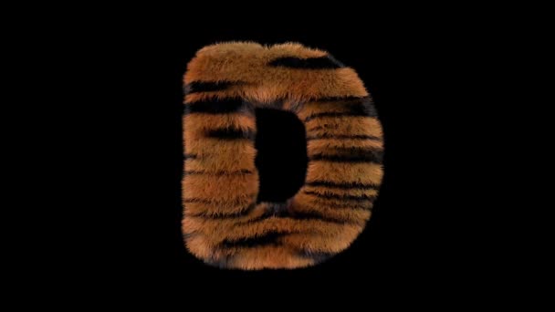 Geanimeerde Harige Dierentuin Tijger Tekst Lettertype Met Alfa Kanaal — Stockvideo