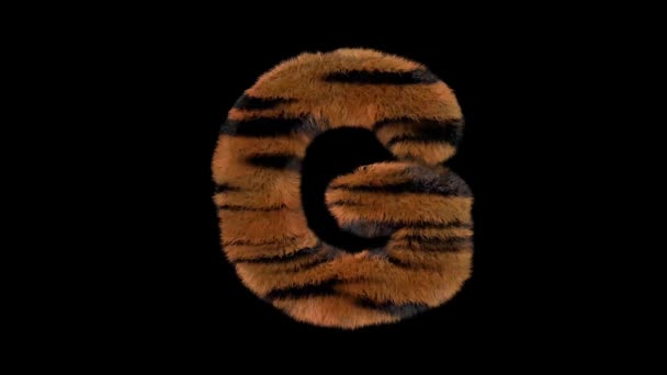 Animierte Pelzige Haarige Zoo Tiger Schrift Mit Alphakanal — Stockvideo