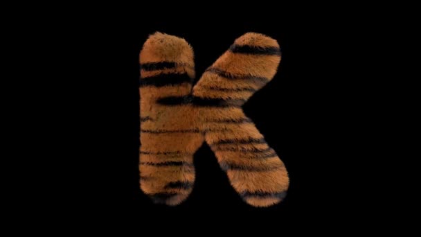 Geanimeerde Harige Dierentuin Tijger Tekst Lettertype Met Alpha Kanaal — Stockvideo