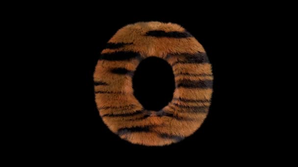 3D animovaný chlupatý chlupatý zoo tygr text písmo s alfa kanálem O