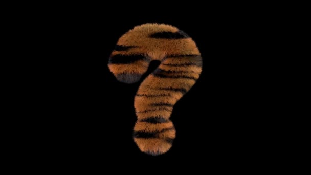 3D动画毛茸茸的动物园老虎文字字体 带有Alpha通道问号 — 图库视频影像