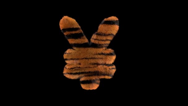 Animowane Futrzane Owłosione Zoo Tygrys Tekst Krój Kanału Alfa Yuan — Wideo stockowe