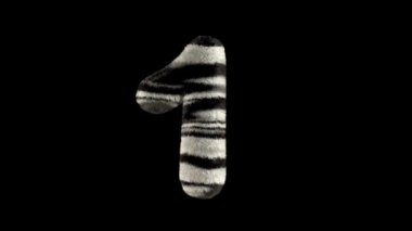 3D animasyon kürklü tüylü zebra yazı karakteri alfa kanal 1