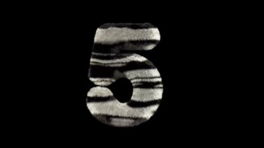 3D animasyon kürklü tüylü zebra yazı karakteri alfa kanal 5