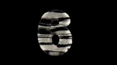 3D animasyon kürklü tüylü zebra yazı karakteri alfa kanal 6