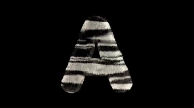 3D animasyon kürklü tüylü zebra yazı tipi alfa kanal A