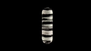 3D animasyon kürklü tüylü zebra yazı tipi alfa kanal I