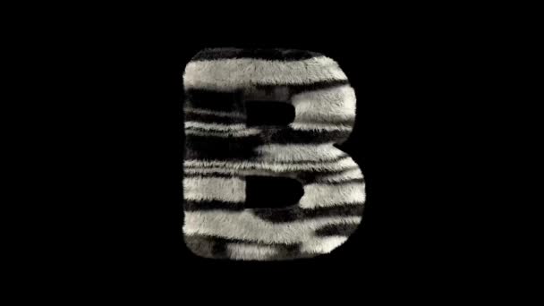 Geanimeerde Harige Dierentuin Zebra Tekst Lettertype Met Alpha Kanaal — Stockvideo