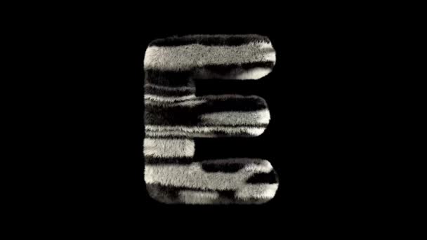 3D动画毛茸茸的动物园斑马文字字体 通道E — 图库视频影像