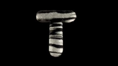3D animasyon kürklü tüylü zebra yazı tipi alfa kanal T