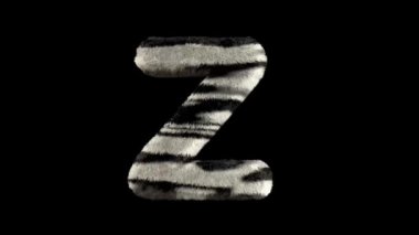 3D animasyon kürklü tüylü zebra yazı tipi alfa kanal Z