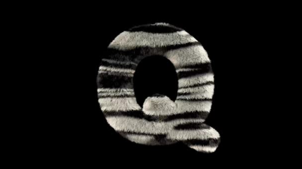 3D动画毛茸茸的动物园斑马文字字体 通道Q — 图库视频影像