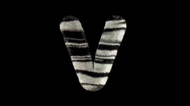 3D动画毛茸茸的动物园斑马文字字体 通道V — 图库视频影像